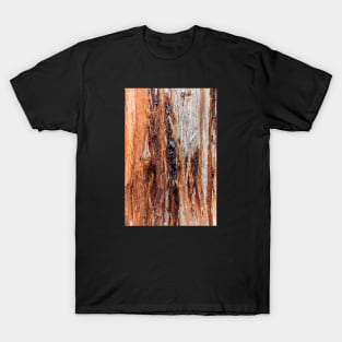 Vibrant Tree Oozing Sap From Trunk T-Shirt